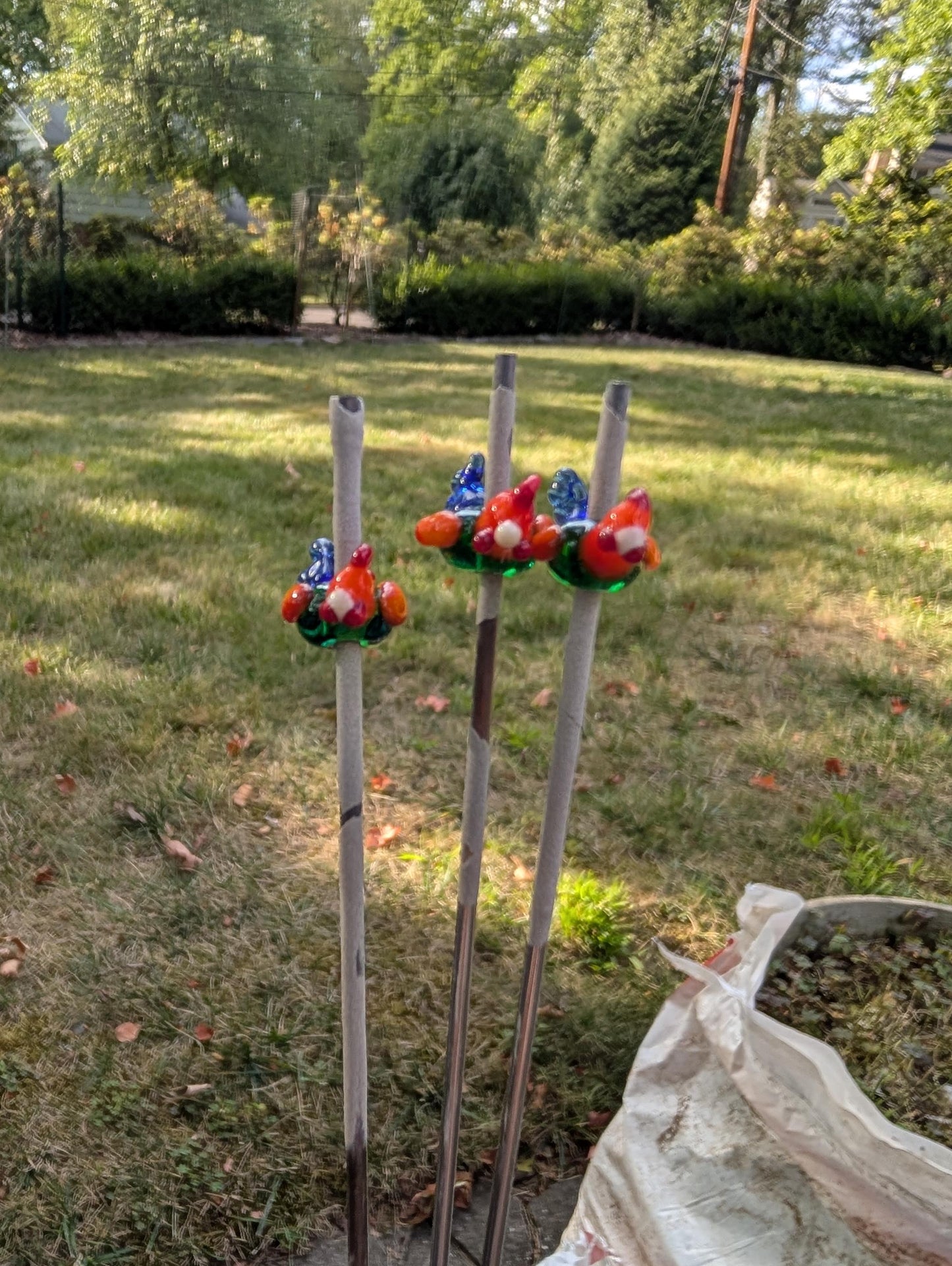 Handmade Sri Lankan/Red Junglefowl Lampworked Glass Bead Necklace